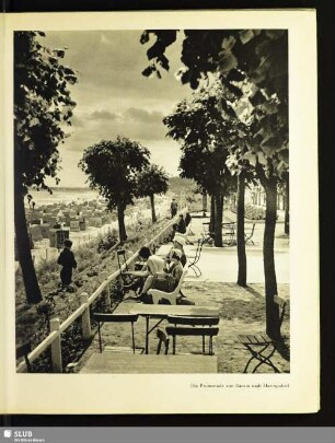 Die Promenade von Bansin nach Heringsdorf