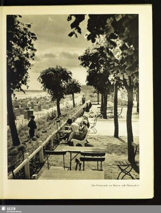 Die Promenade von Bansin nach Heringsdorf