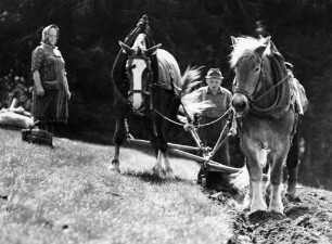 Pflügender Bauer mit Pferdegespann