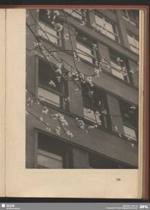 Es grünt in der Großstadt