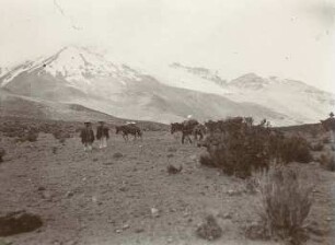 Stübelgletscher am Nordwest-Chimborazo, vom Arenal aus
