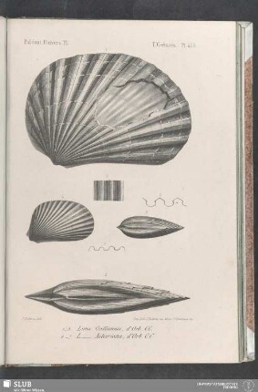 Pl. 420