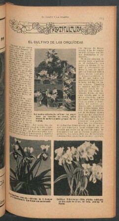 Floricultura - El cultivo de las orquídeas : El campo y la chacra