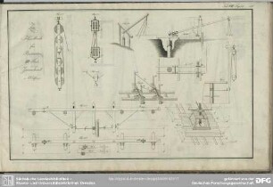 Tab. VII. Fig. 117-126