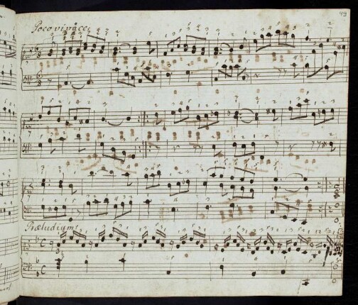 Poco vivace