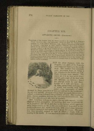 Chapter XIX. Antarctic Cruise - (Continued).