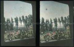 Blick aus dem Turmzimmer der Villa Gustavina in den Garten