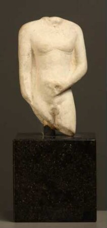 Männlicher Torso