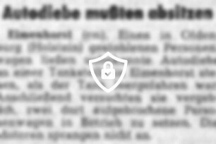 Autodiebe mußten absitzen