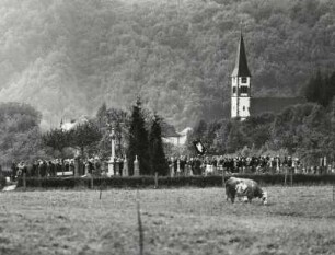 Blick auf den Geschwend bei Todtnau