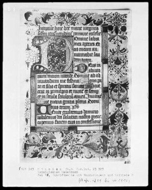 Lateinisches Gebetbuch aus Kloster Baumburg — Initiale D und Vollbordüre, Folio 16recto