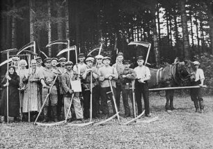 Gegenseitige Hilfe der Kleinbauern im Erzgebirge - Getreidemahd mit der Wurfsense : Gegenseitige Hilfe der Kleinbauern im Erzgebirge
