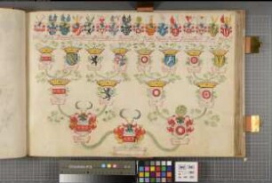 Proband: Westrem, Albert von; Vater: Westrem, [Xerxes Dietrich] von; Mutter: [Heyden gen.] Rynsch (Rins), [Johanna] von der: Westfalen, Hzgtm, Ritterschaft