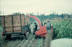 Fotografie: Ernteverfahren, Silomais, Parallelverfahren, Feldhäcksler gezogen