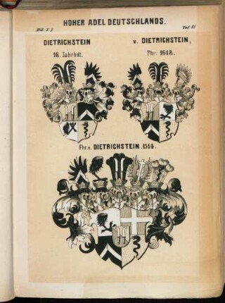 Taf. 81. Dietrichstein 16. Jahrhdt. - v. Dietrichstein, Fhr: 1618. - Fhr. v. Dietrichstein. 1514.