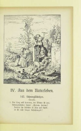 IV. Aus dem Naturleben
