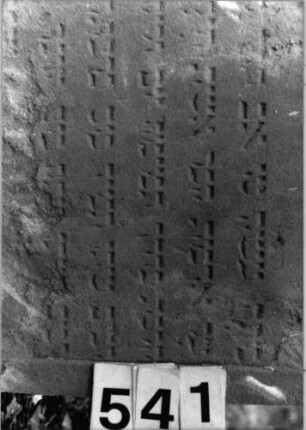Grabstein 541 (Index: 99802746) Material: Sandstein Zustand: unten völlig abgeblättert/Textverlust Maße HxBxT: 103x59x11 cm Beschreibung: Stele mit verdachtem Rundbogen, profilierter Rand, Giebelfeld Besonderheit: längerer Text, Endreim: Grabstein 541 (Detailaufnahme)