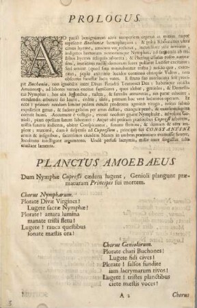 Planctus amoebaeus.