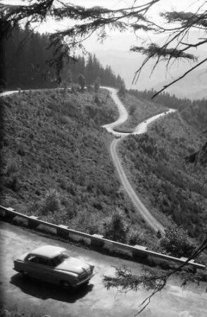 Bad Griesbach: Serpentinen der Straße Bad Griesbach-Alexanderschanze