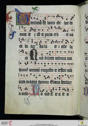 In dedicatione ecclesiae
