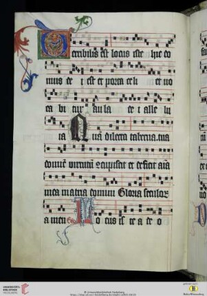 In dedicatione ecclesiae