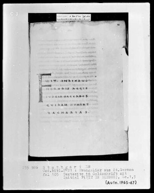 Prachtevangeliar aus Sankt Gereon — Initiale F, Folio 103 recto