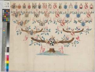 Proband: Seyssel d'Aix (Saissel-/ Seisseldaux), Maria Anna Gräfin von; Vater: Seyssel d'Aix (Saissel-/ Seisseldaux), Maximilian Claudius Maria Graf von; Mutter: Reitzenstein, Friederika Augusta Albertina von: Nottuln, Stift
