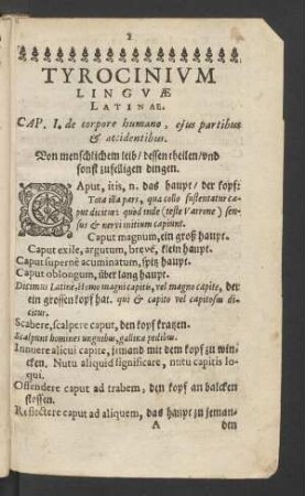 Tyrocinium Linguae Latinae.