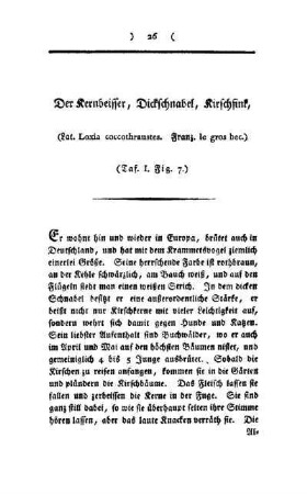 ¬Der¬ Kernbeißer, Dickschnabel, Kirchfink : (Lat. Loxia coccothraustes ; Franz. le gros bec) ; (Taf. I, Fig. 7)