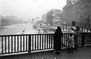 Berlin: Spree von der Jannowitz Brücke: Möwen füttern