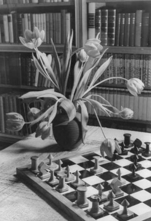 Atelier des Fotografen. Stillleben. Bücherwand, Tisch mit Blumenvase (Tulpen) und Schachbrett.