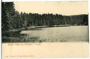Rehefeld. Wüster Teich