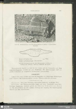 Fossilien