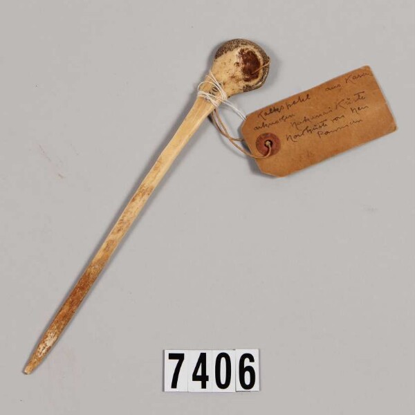 Lime spatula