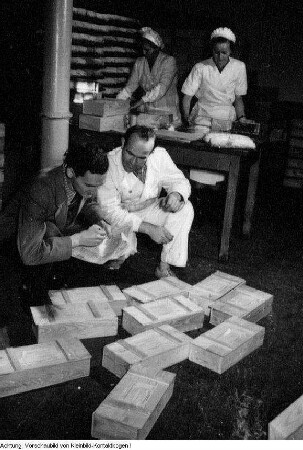 Dresden, Kurt-Fischer Platz (Olbrichtplatz), Nordhalle, Weihnachtsmesse 1953, Herstellung und Verpackung von Dresdner Weihnachtsstollen, November 1953