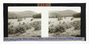 Braunstein-Grube Gottesgabe bei Bad Liebenstein. Vorgelagerte Waldwiese