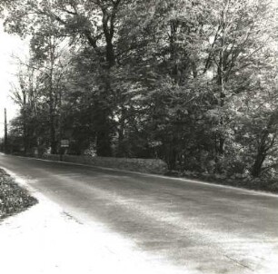 Gönnsdorf. Schönfelder Straße/Am Park. Straßenbild mit Resten der Bruchsteinmauer und Torpfeilern des Gutsparkes