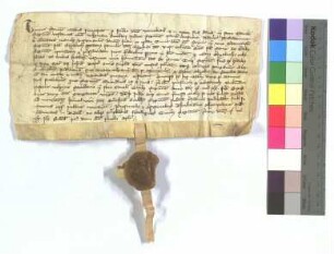 [Text = U / 1320 Juli 11]. Mit Eid besagt vor Herrn Emercho, Schultheiß, "Thulmannus" Scherpelo, Richter, Fürsprechen und Budellen. "1320 feria secunda post diem beati Jacobi apostoli."