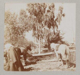 [Im Garten am Jakobsbrunnen [Garizim]. Zickermann.]