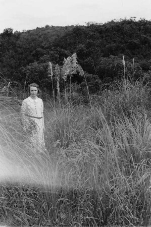 Pampasgras auf der Hochfläche von Sao Paulo : Frau neben Pampasgras