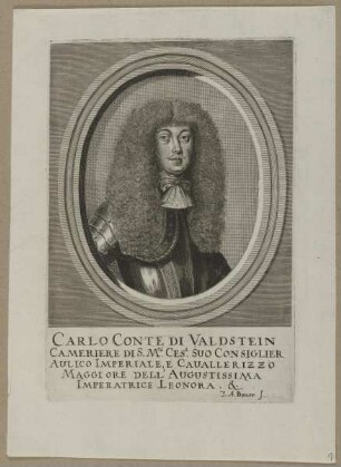 Bildnis des Carlo di Valdstein