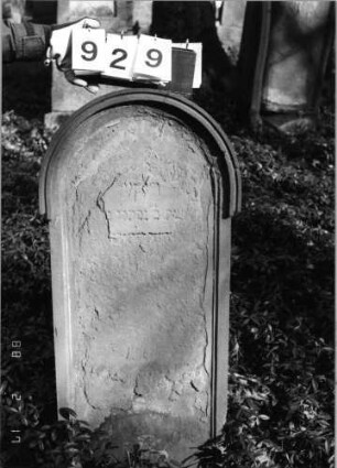 Grabstein 929 (Index: 99802596) Material: Sandstein Zustand: hebr. Text verwitt/Textverlust Maße HxBxT: 110x49x15 cm Beschreibung: Stele mit verdachtem Rundbogenabschluß und profiliertem Rand: Grabstein 929