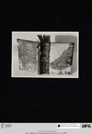 Fragmente (alter Rücken)