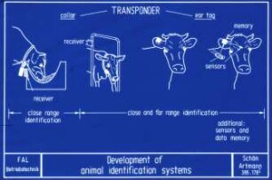 Development of animal identification systems