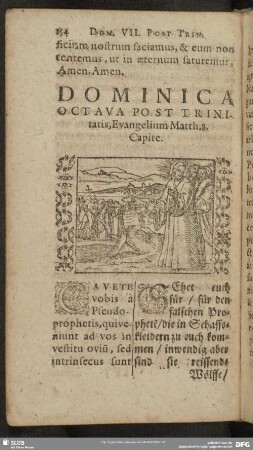 Dominica Octava Post Trinitatis, Evangelium Matth. 8. Capite