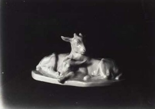 Zwei liegende Zicklein : Zwei liegende Zicklein. Porzellan, weiß glasiert (vor 1945; E. Richter). Dresden-Südvorstadt, Eisenstuckstraße, Atelier der Künstlerin