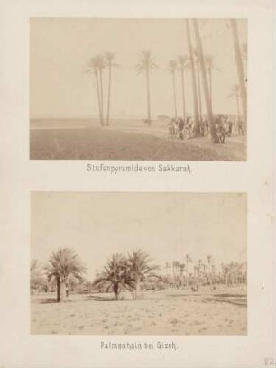 oben: Stufenpyramide von Sakkarah in Ägypten unten: Palmenhain bei Gizeh in Ägypten