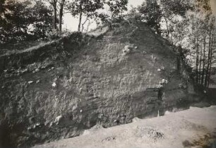 Brohna. Schanze (um 1000). Grabung 1951