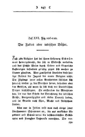 ¬Die¬ Fakirs oder indischen Büßer : Taf. XVI, Fig. 106 - 110