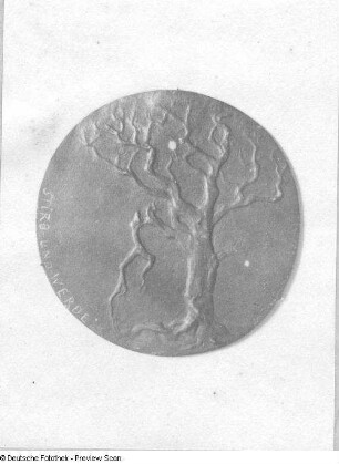 Plakette